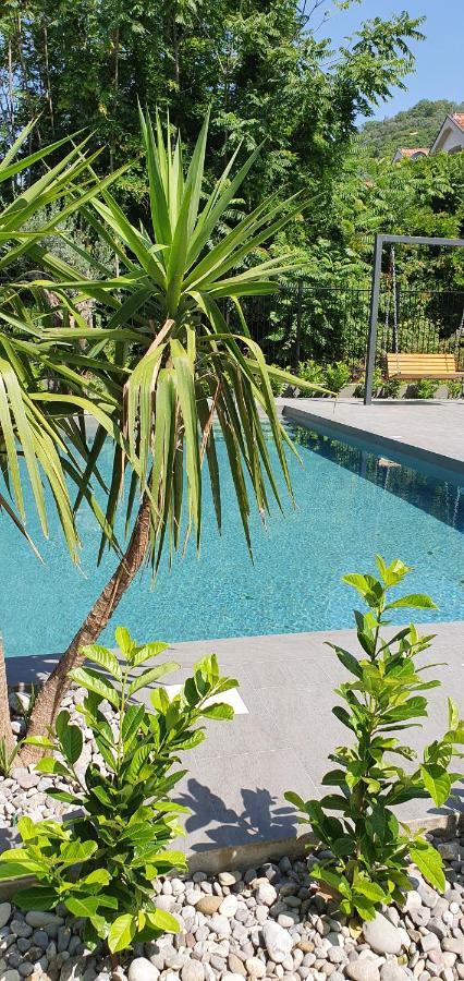 Bjelica Rental Apartments - Nela Apartment Tivat Buitenkant foto